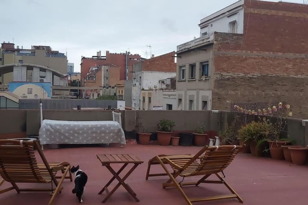Small Room In Sants With Huge Terrace Barcelona Exterior photo